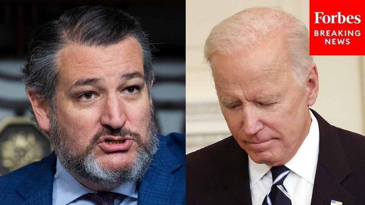 Ted Cruz: 'The White House's Talking Points Are Written By An 18 Year Old Intern'