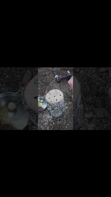 How to Grow Mushrooms on Logs!