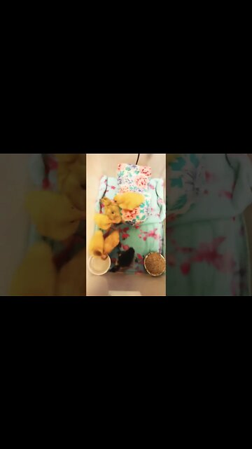 Ducklings a couple of days old 25th October 2022