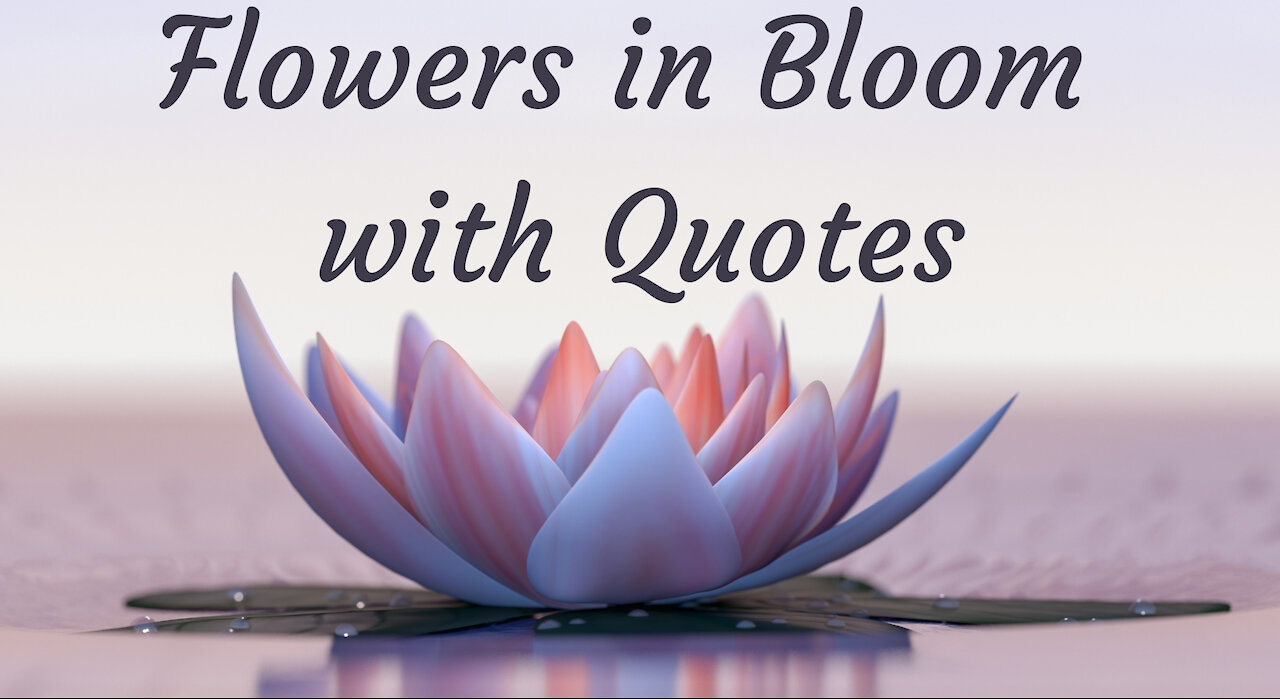 Quotes About Flowers | Happiness | Romance | Beauty | Love