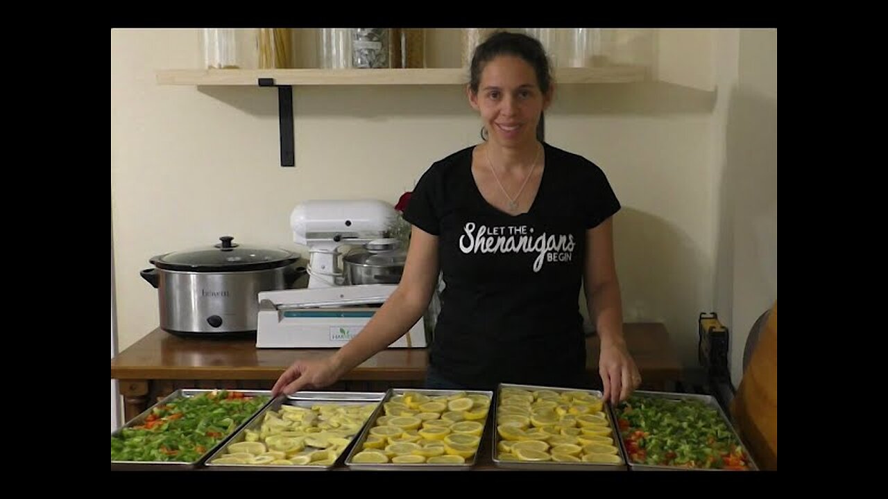 Harvest Right - Freeze Drying Lemon and Ginger in the Freeze Dryer, HiFan Jar Vacuum Sealer