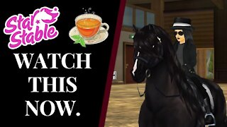 MY CLUB OWNER PET PEEVES! Motivational Club Speech Star Stable Quinn Ponylord