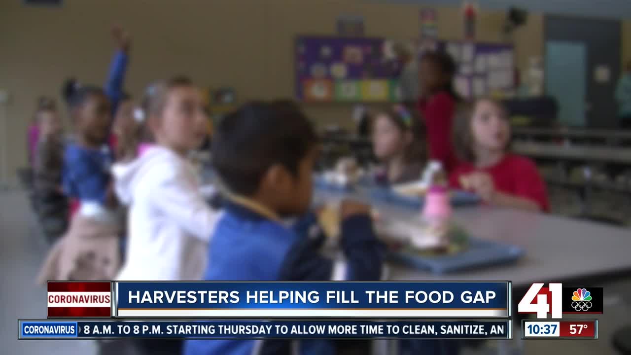 Harvesters helping fill the food gap