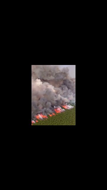 The Pulp Road Fire in Brunswick County, North Carolina. 11,500 acres.