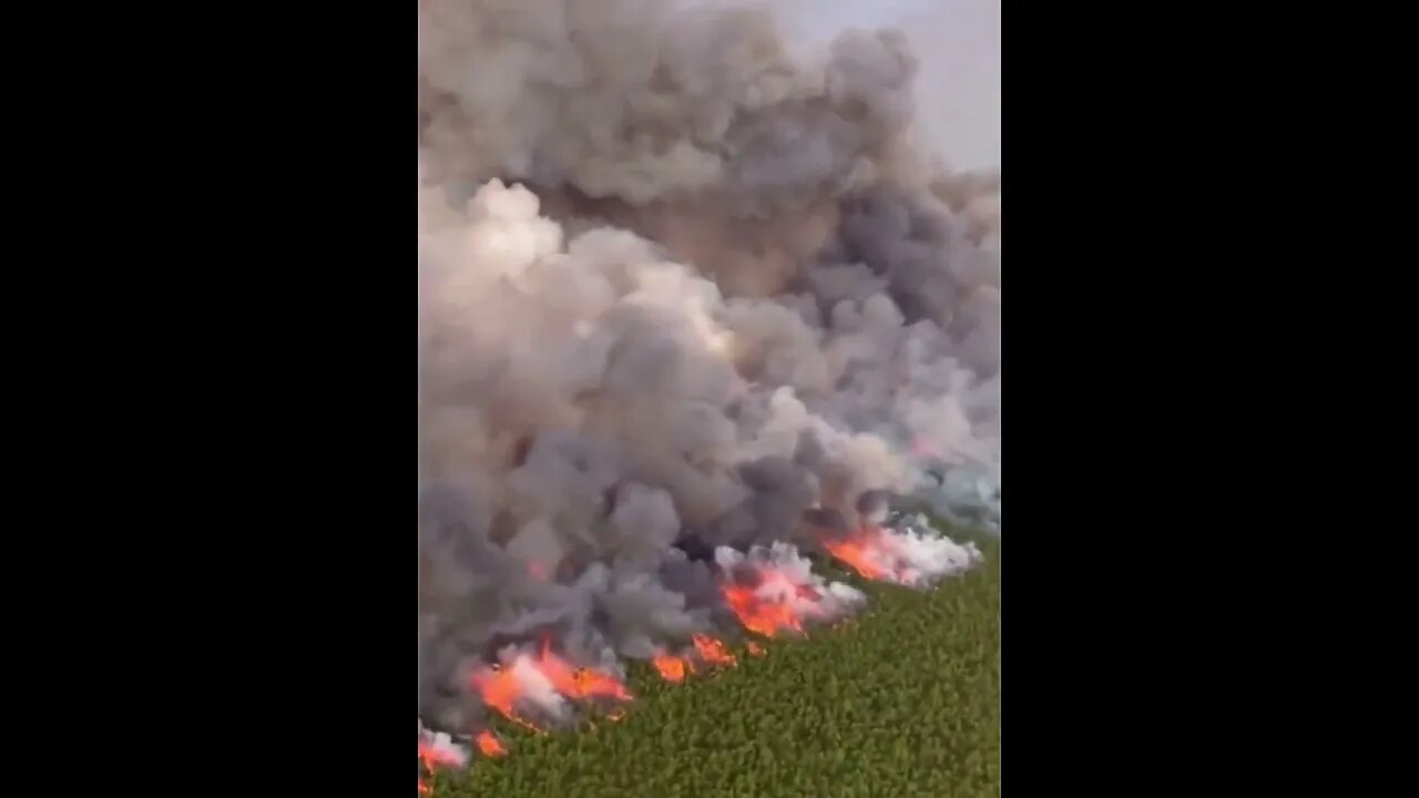 The Pulp Road Fire in Brunswick County, North Carolina. 11,500 acres.