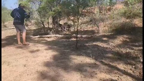 first boar for the trip