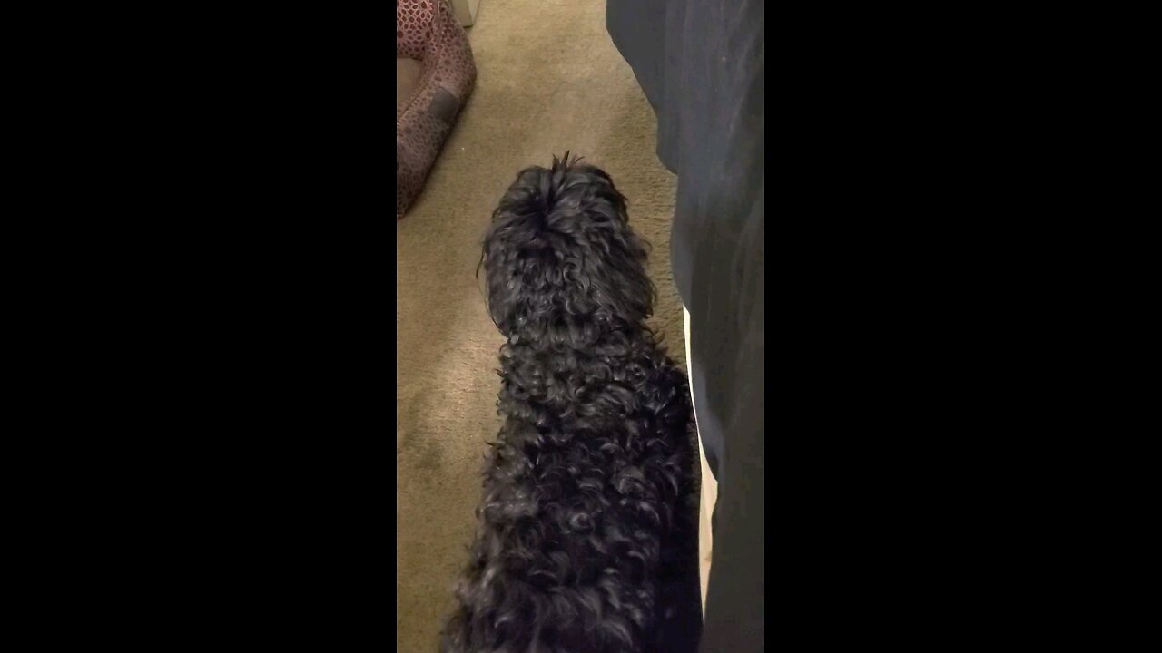 Rocky Arguing