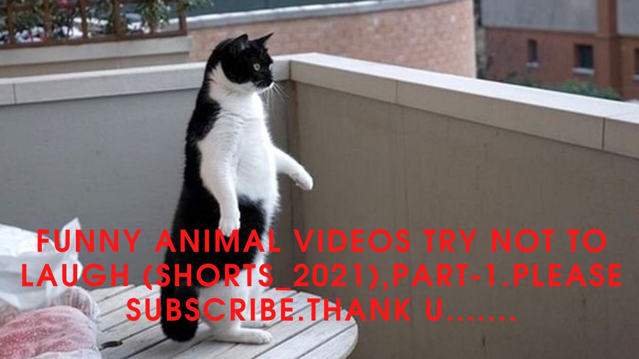 Funny animal videos try not to laugh (Shorts_2021),Part-1.Please Subscribe.Thank u.......