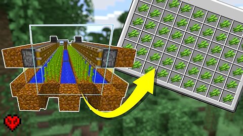 Improving our Sugar Cane Farm! [Minecraft hardcore 1.20 BIRTHDAY Stream]