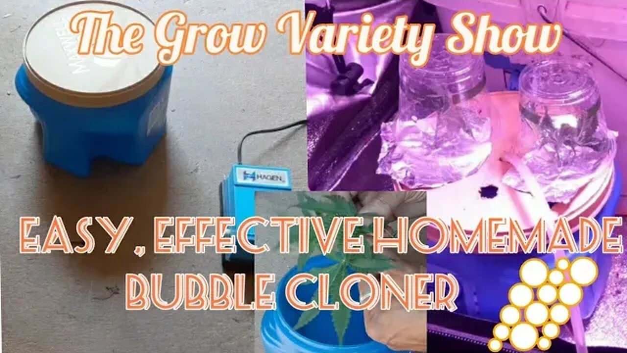 Taking Clones & Making a Bubble Cloner at Home