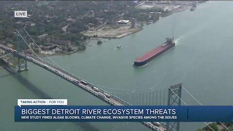 Biggest Detroit River ecosystem threats