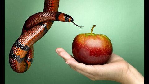 🟩[REVELADO] O POR QUE EXISTEM TANTAS REGRAS E PECADOS??