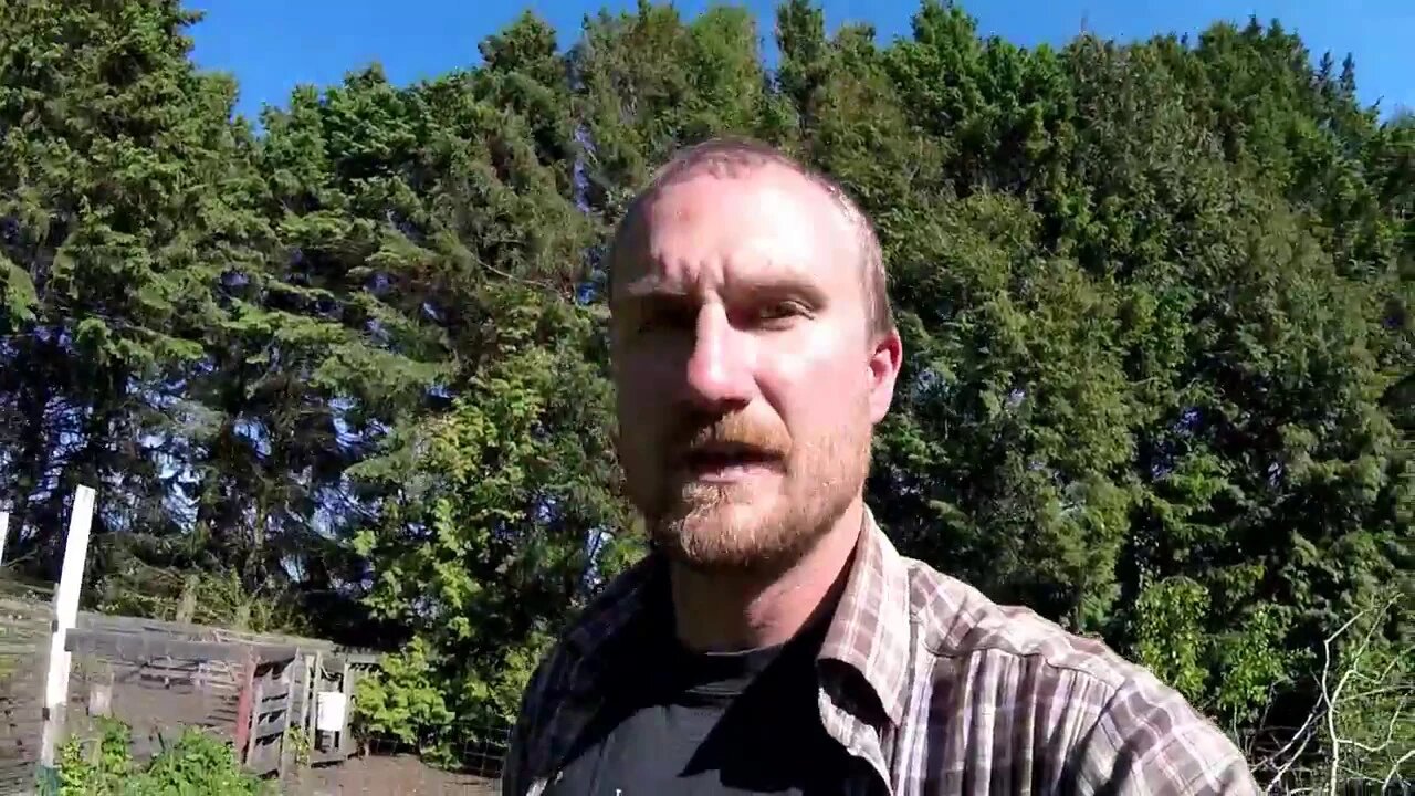 Garden Update May 22, 2017
