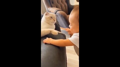kids videos