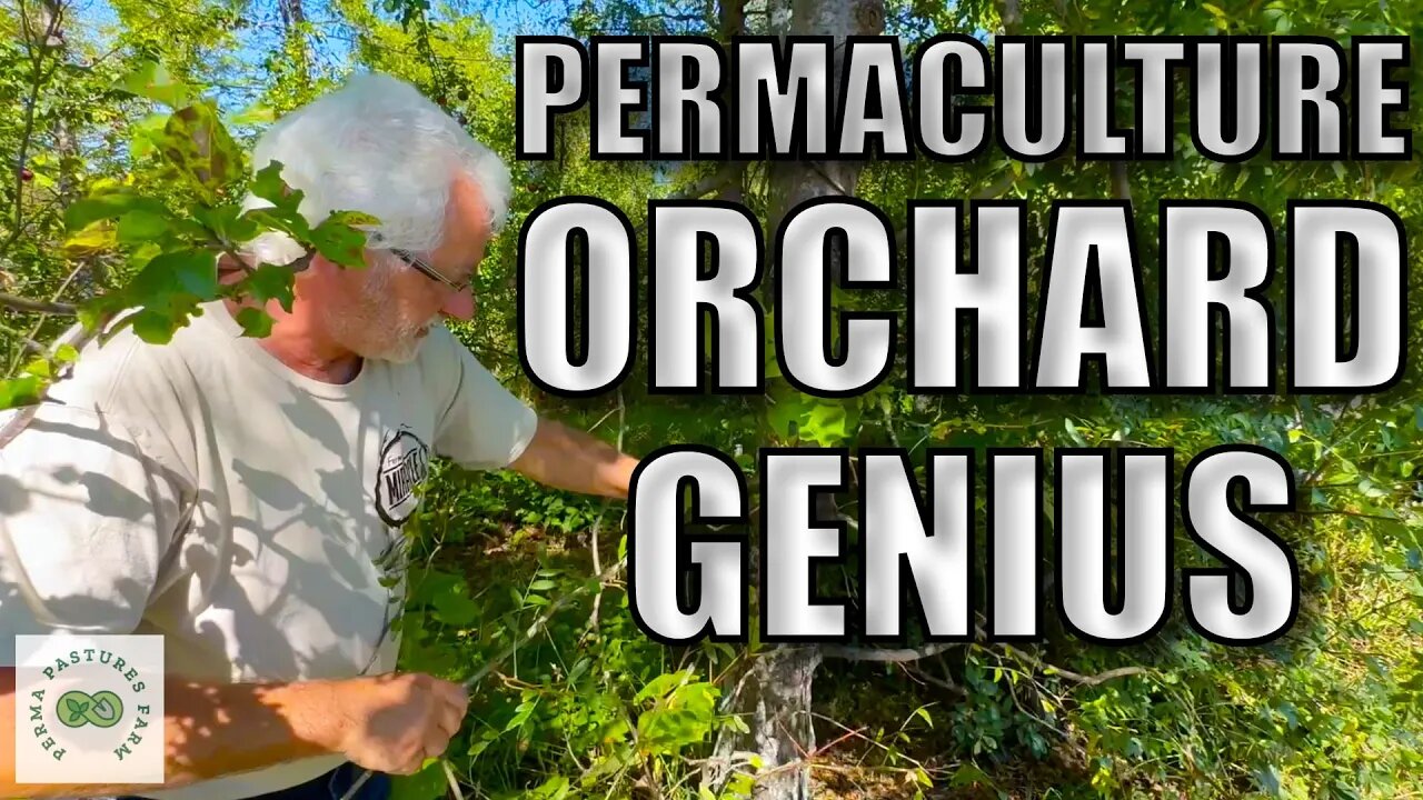 Permaculture Wisdom: Stephan Sobkowiak on Nitrogen Fixers in Orchard Ecosystems