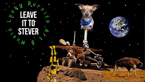 Leave it to stever- picking some tunes WED NES DAZE morning