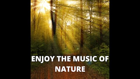 NATURE SERIES WITH SOOTHING MUSIC