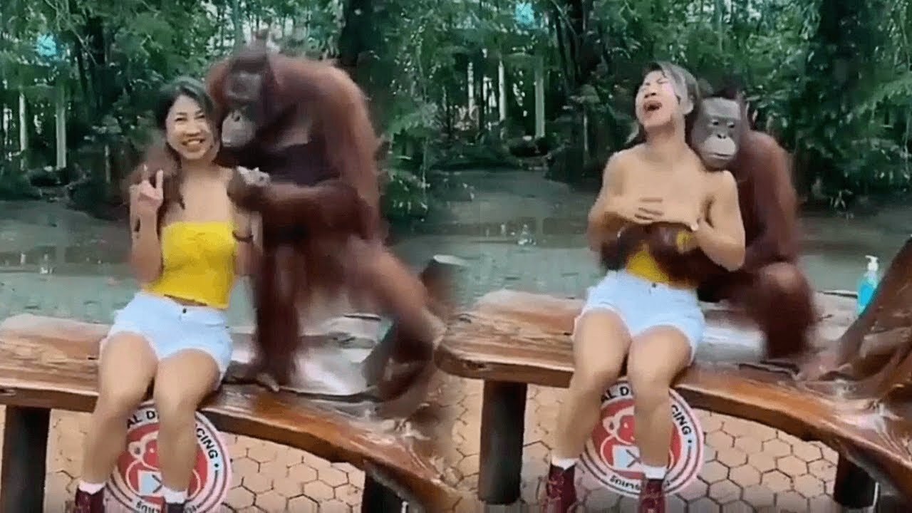 Funny Videos 2022 | Instant Regret | Fails Of The Week | Fail Compilation 2022 | Fails | RandomFails