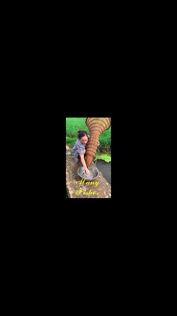 The Best Asian Fishing , Fishing Techniques