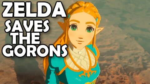 BotW but you're ZELDA - NOT LINK (Series - Part 11)