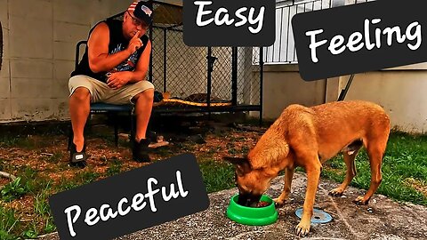 LIVING THE PEACEFUL VILLAGE LIFE IN THAILAND #retiredinthailand