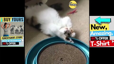 Sleepy PETS | When Pet Animals are too LAZY 😻 Funny Cats And Dogs Videos Compilation 2023