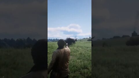 Tá louco, touro!? RDR2