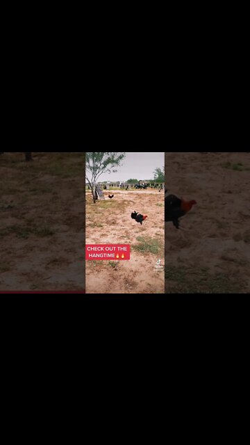 Another beautiful day at LWF247