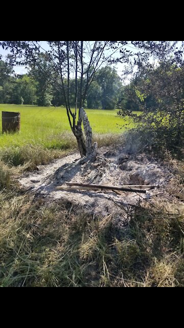 EP 12 - THE HONEY MONEY PROJECT