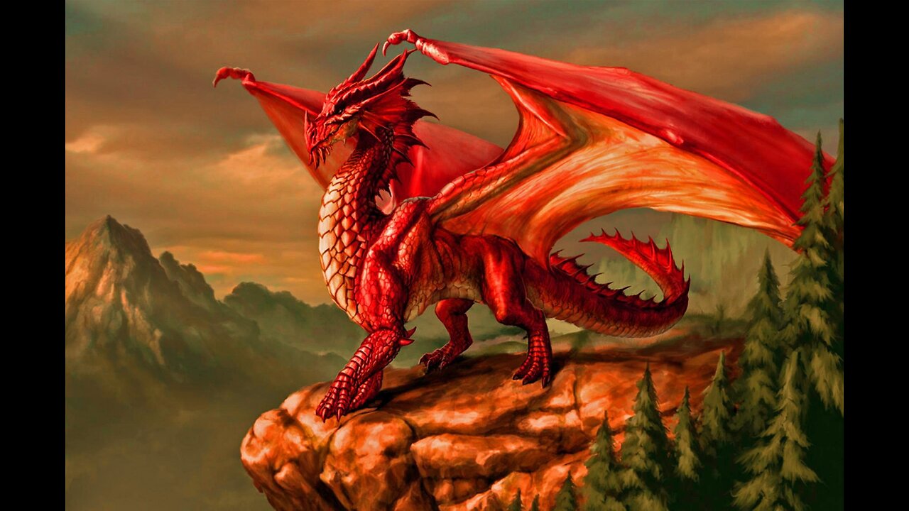 REALM OF DRAGONS