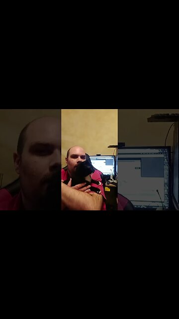 Dancing with Moonpie #shorts #shortsvideo #shortsfeed #youtubeshorts #catvideos #cat