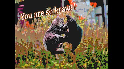 You are so Brave