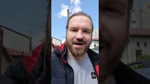 Protestele AUR enervează dulăii