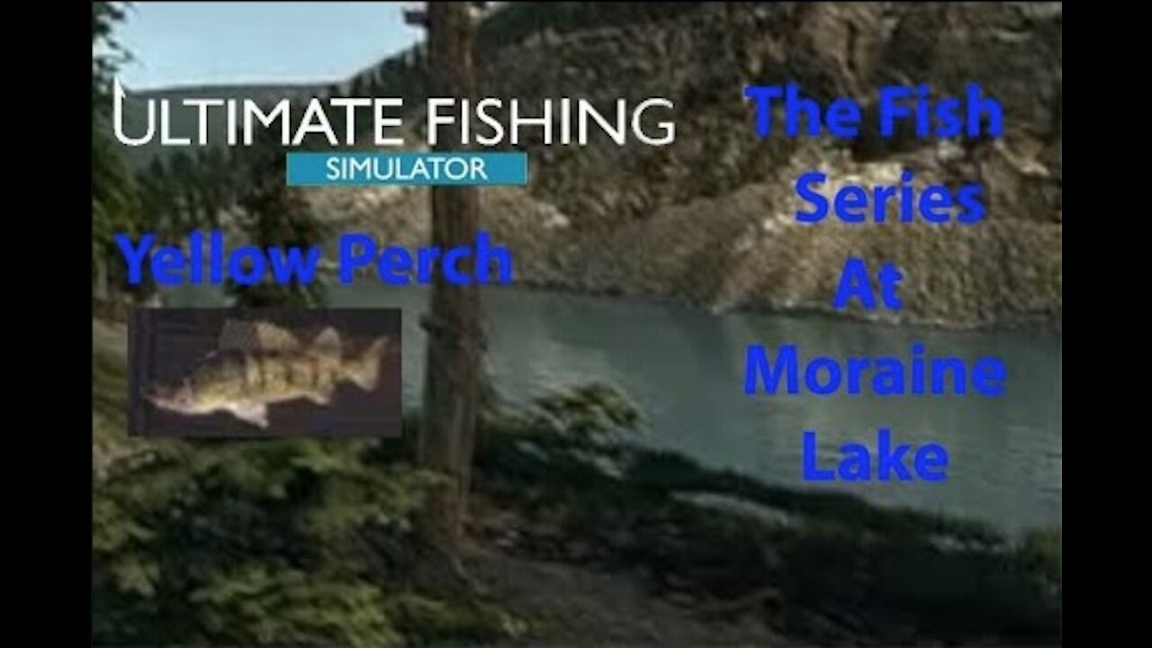 Ultimate Fishing Simulator: The Fish - Moraine Lake - Yellow Perch - [00051]