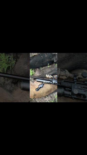 FX Impact MKIII .35 Triple Down Short