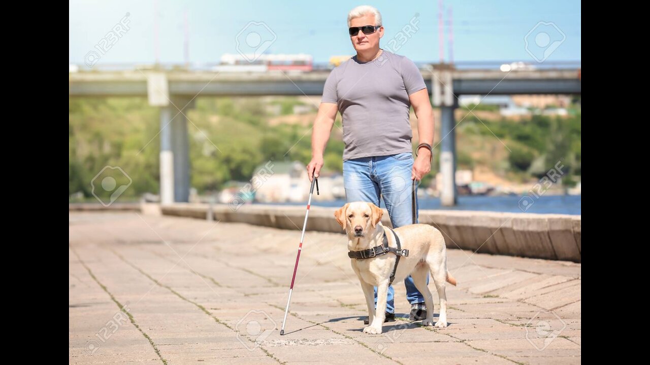 DOG SAVE BLIND MAN LIFE