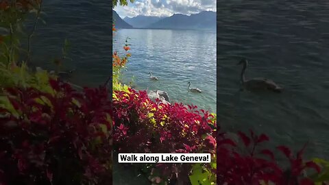 Picturesque walk along the Promenade on Lake Geneva!