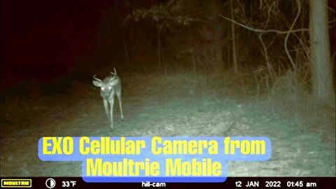 EXO Cellular Camera From Moultrie pt2