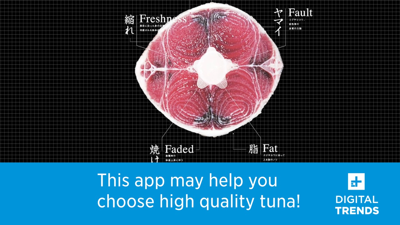 Tuna Scope Helps You Choose High Quality Tuna