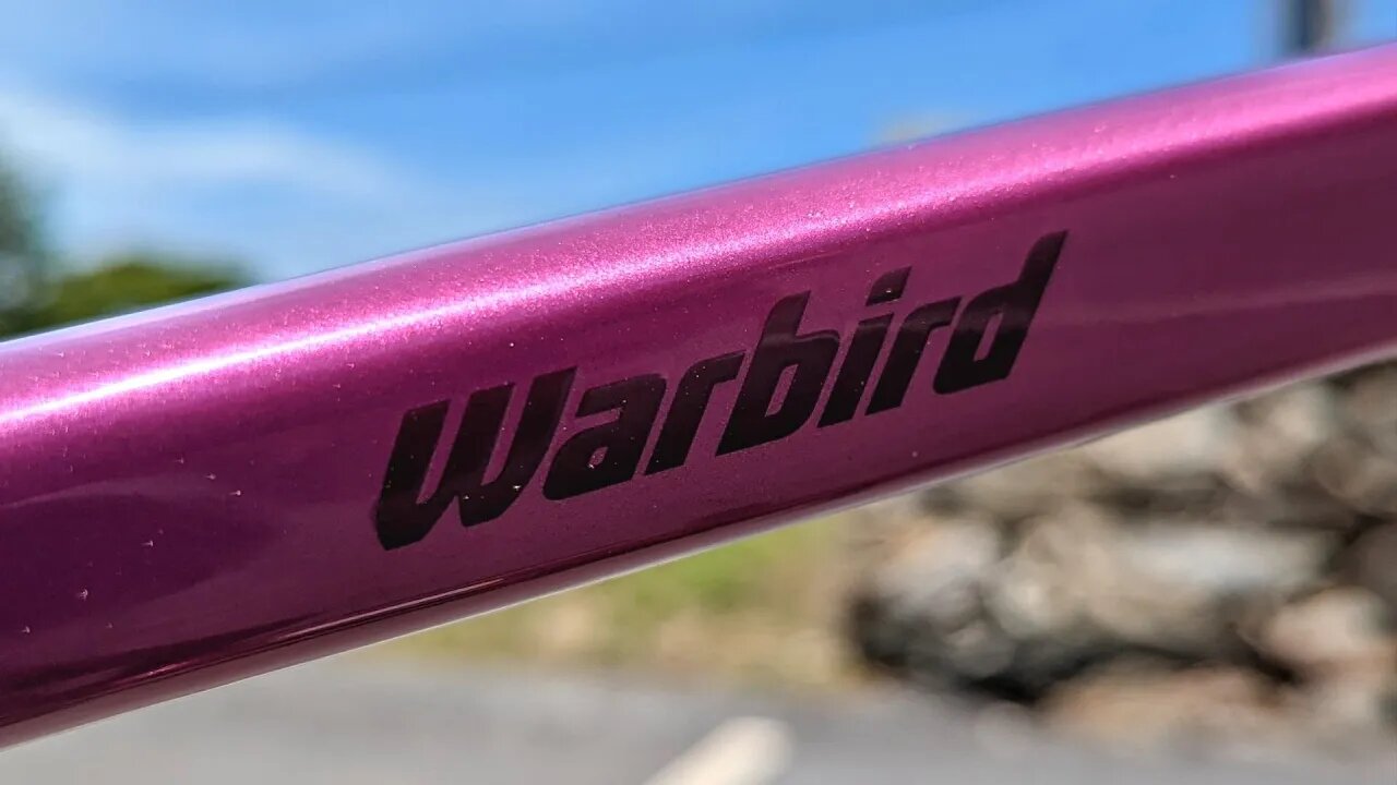 The Hottest New Gravel Bike? | 2022 Salsa Warbird Review & Weight