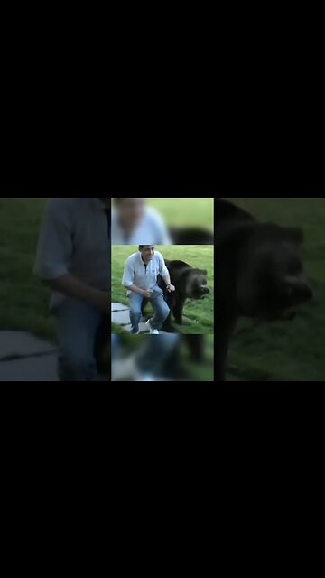 HIT! MIROLJUB PETROVIĆ ŠETA MEČKU😂