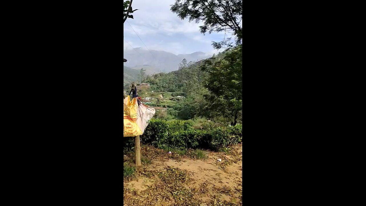 pahar