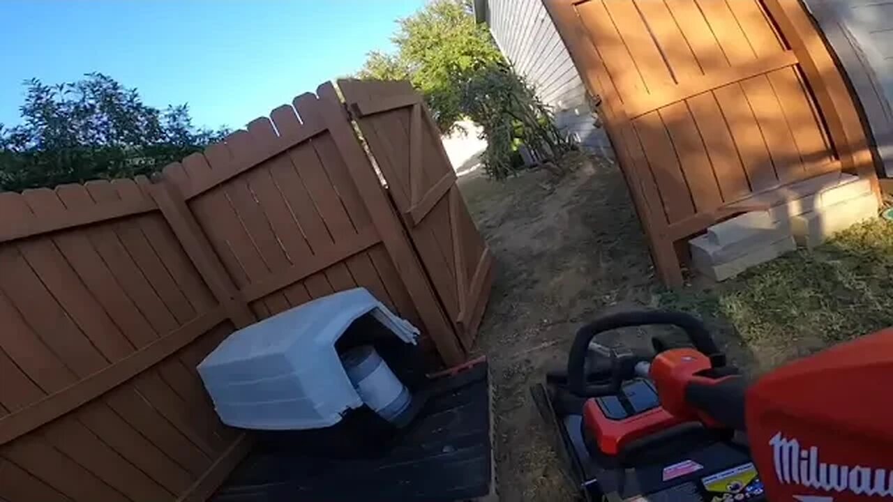 A single Grandma needs help with a Lawn Transformation