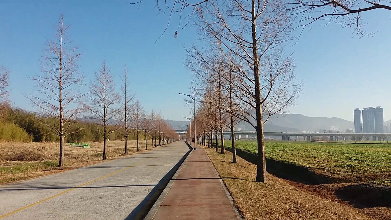 A park road in the canola flower tourist spot.