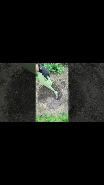 Most Amazing and trending video||relaxing your mind||trendig videos|| #shorts #trending #viral #live