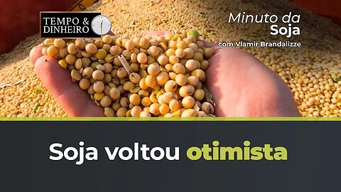 Soja voltou otimista do Feriadão Americano