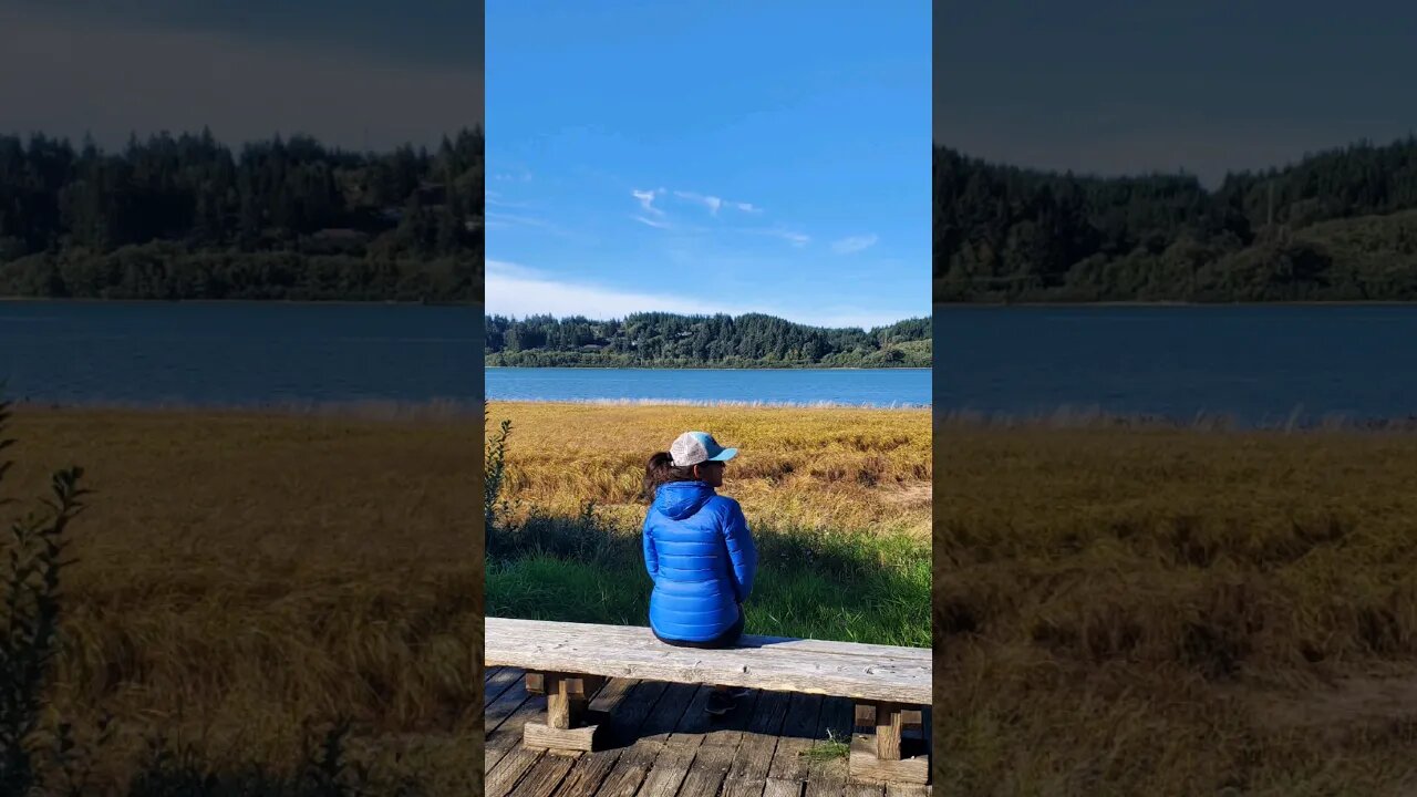 Love me a wood boardwalk.Sandpiper Trail#roadtrip #oceanbirds #washingtonstate