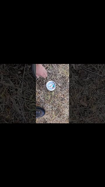 Proper Soil Temp for Planting Summer Food Plot Seeds