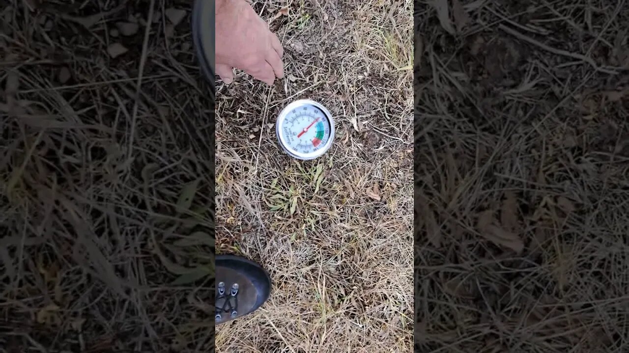 Proper Soil Temp for Planting Summer Food Plot Seeds