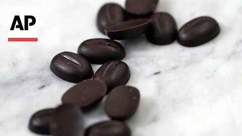 Future of chocolate: A startup grows cocoa in laboratory